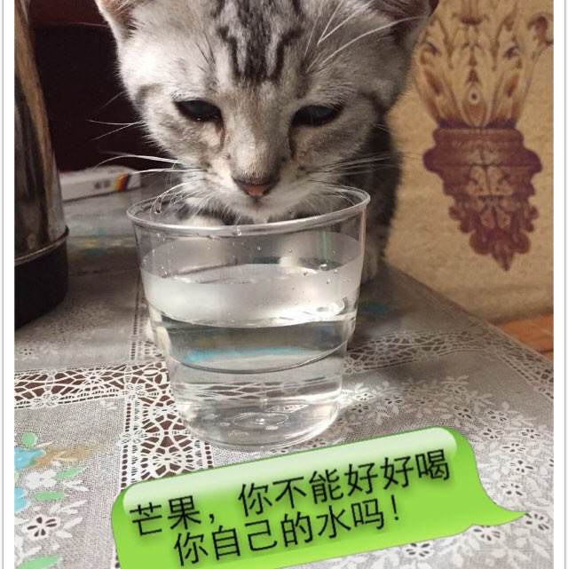 函授怎么获得学位证